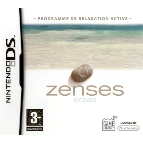 JEU DS ZENSES SANS BOITE