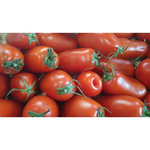 Tomates torino