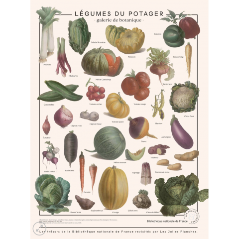 Affiche/planche Légumes du potager Les Jolies Planches