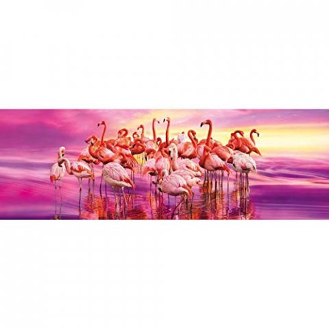 Puzzle Panoramique - Flamingo Danse - 1000 Pièces
