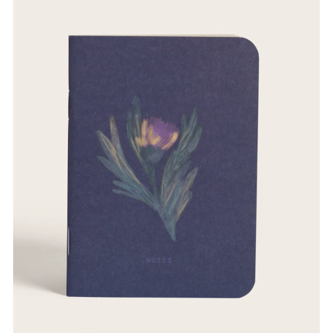 Carnet de poche Alba
