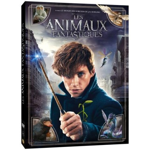 DVD LES ANIMAUX FANTASTIQUES
