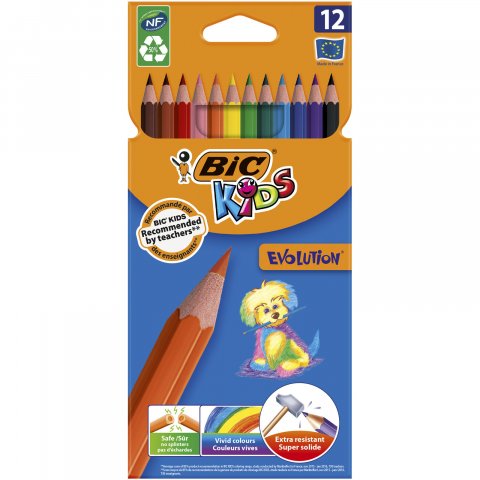 Étui de 12 Crayons de couleur Kids Évolution - BIC