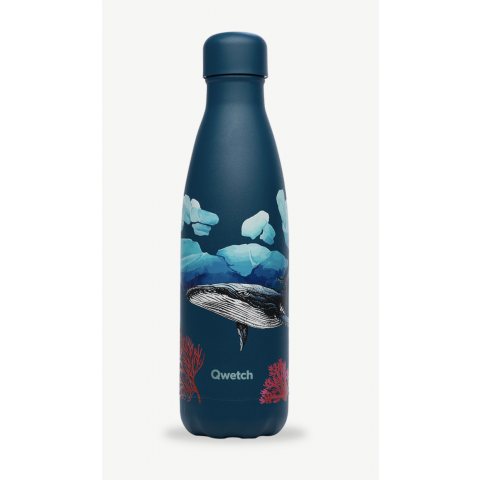 BOUTEILLE ISOTHERME Banquise / Baleine - QWETCH