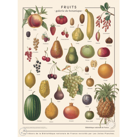 Affiche/planche Fruits LES JOLIES PLANCHES