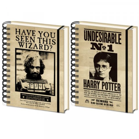Carnet Bloc Notes A5 Harry Potter Sirius et Harry 3D