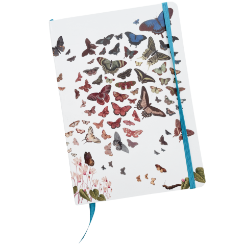 Carnet A5 ligné 126 pages - Papillons