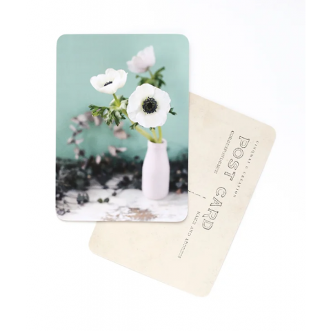 CARTE POSTALE ANEMONE / white and mint