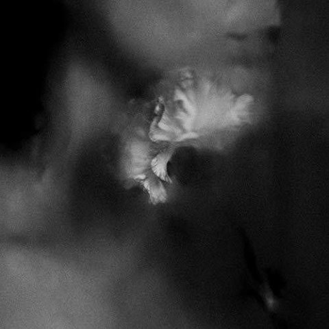 Holding Absence – Holding Absence - CD Audio