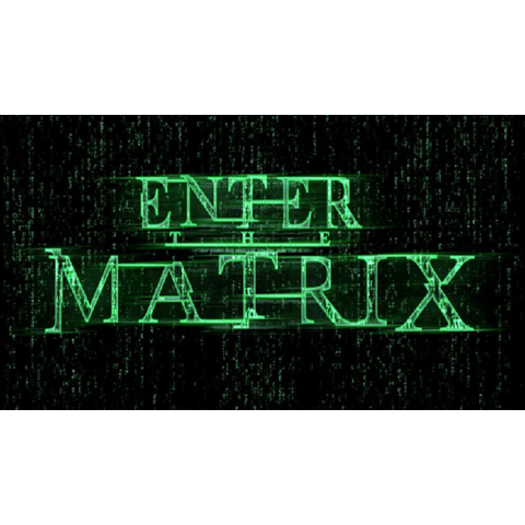 Enter the Matrix - PS2