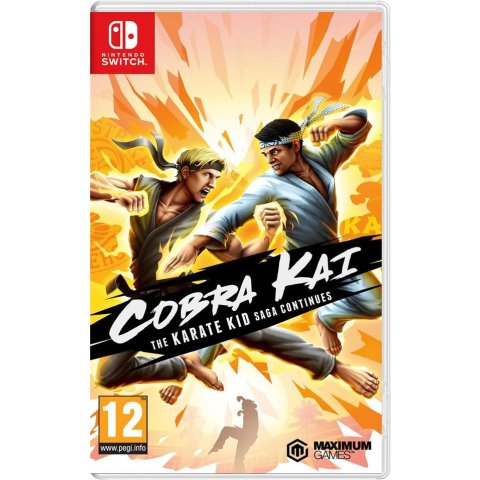 Cobra Kai The Karate Kid Saga Continues - Switch