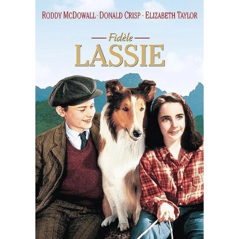 Fidèle Lassie - DVD