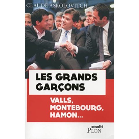Les grands garçons - Livre