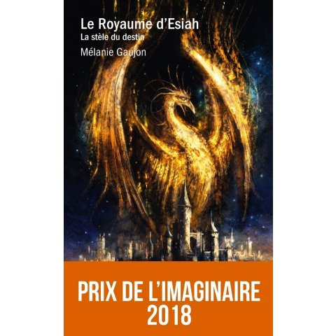Le Royaume d'Esiah - tome 1 : La stèle du destin - Livre - Roman