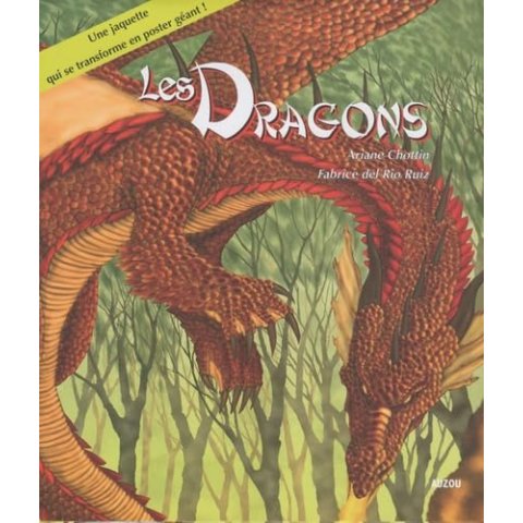 LES DRAGONS - Livre