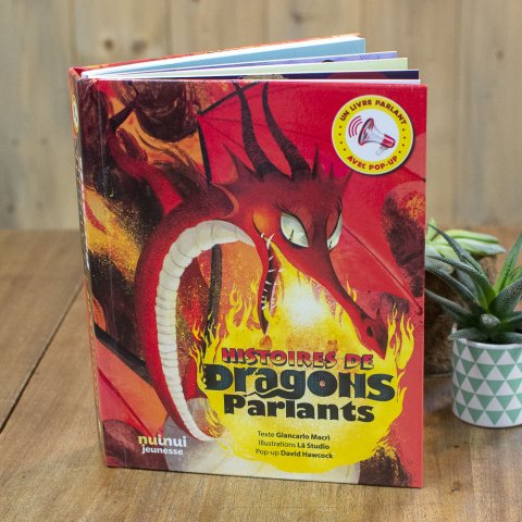 Livre jeunesse "Histoire de Dragons parlants"