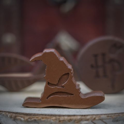 Moule à glaçons et chocolats Logos Harry Potter