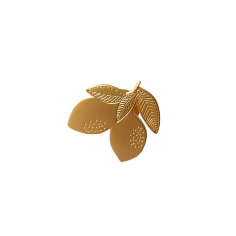 Pin's Citrons x2 POUSSIERES DES RUES