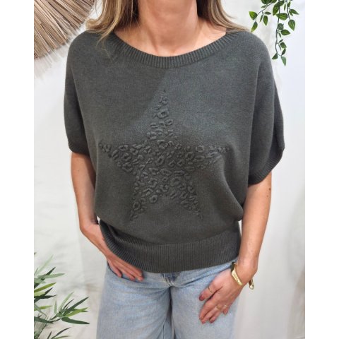 Pull femme col rond manches chauve souris étoile léopard